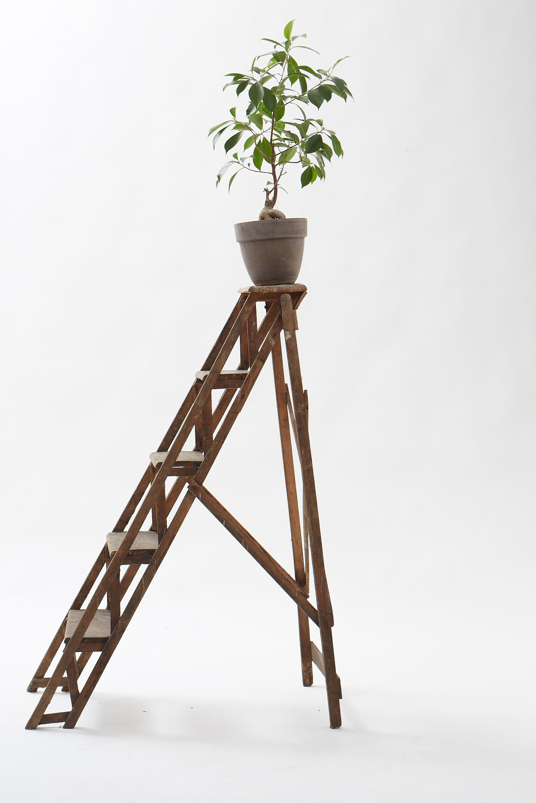 Escabeau de  peintre en bois