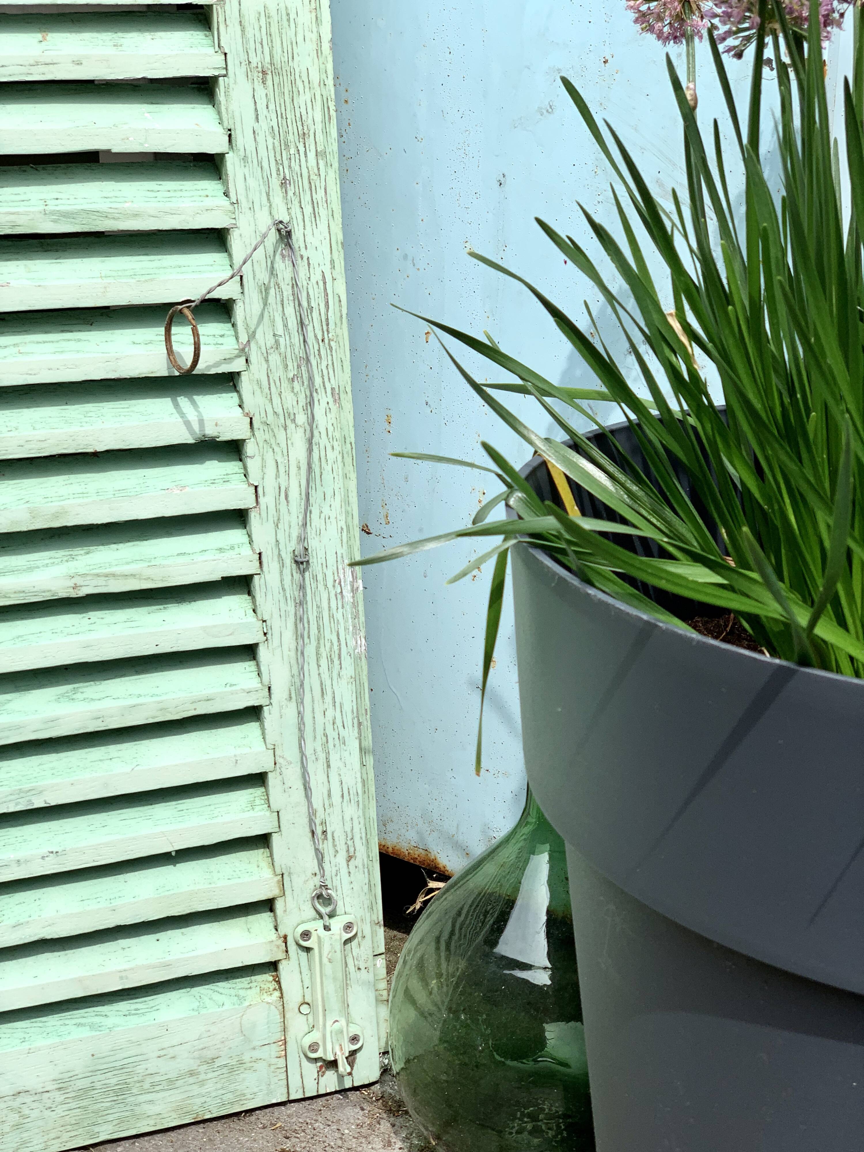 Old wood volet mint color