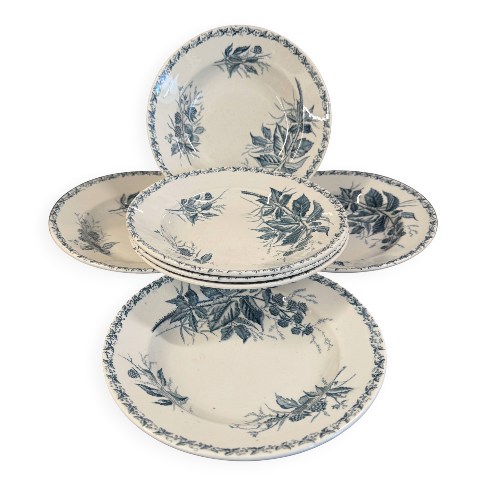 6 deep plates in ironstone "Mûre" Badonviller