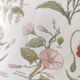 Gravure ancienne • Fleurs et "mauvaises" herbes • Affiche originale de 1922