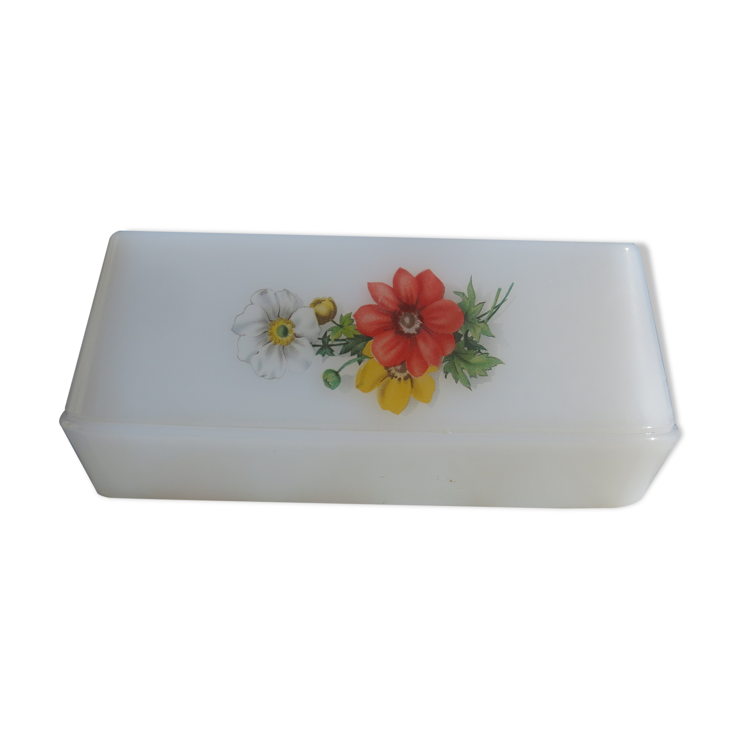 Butter Arcopal red flower