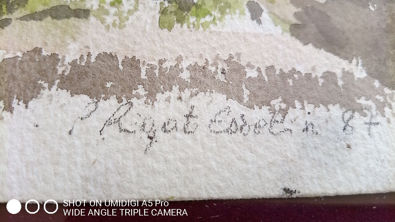 Pascale Rigat-Esselin (born 1952) - Watercolor - 35,5 x 26 cm - undergrowth, signed