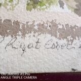 Pascale Rigat-Esselin (born 1952) - Watercolor - 35,5 x 26 cm - undergrowth, signed