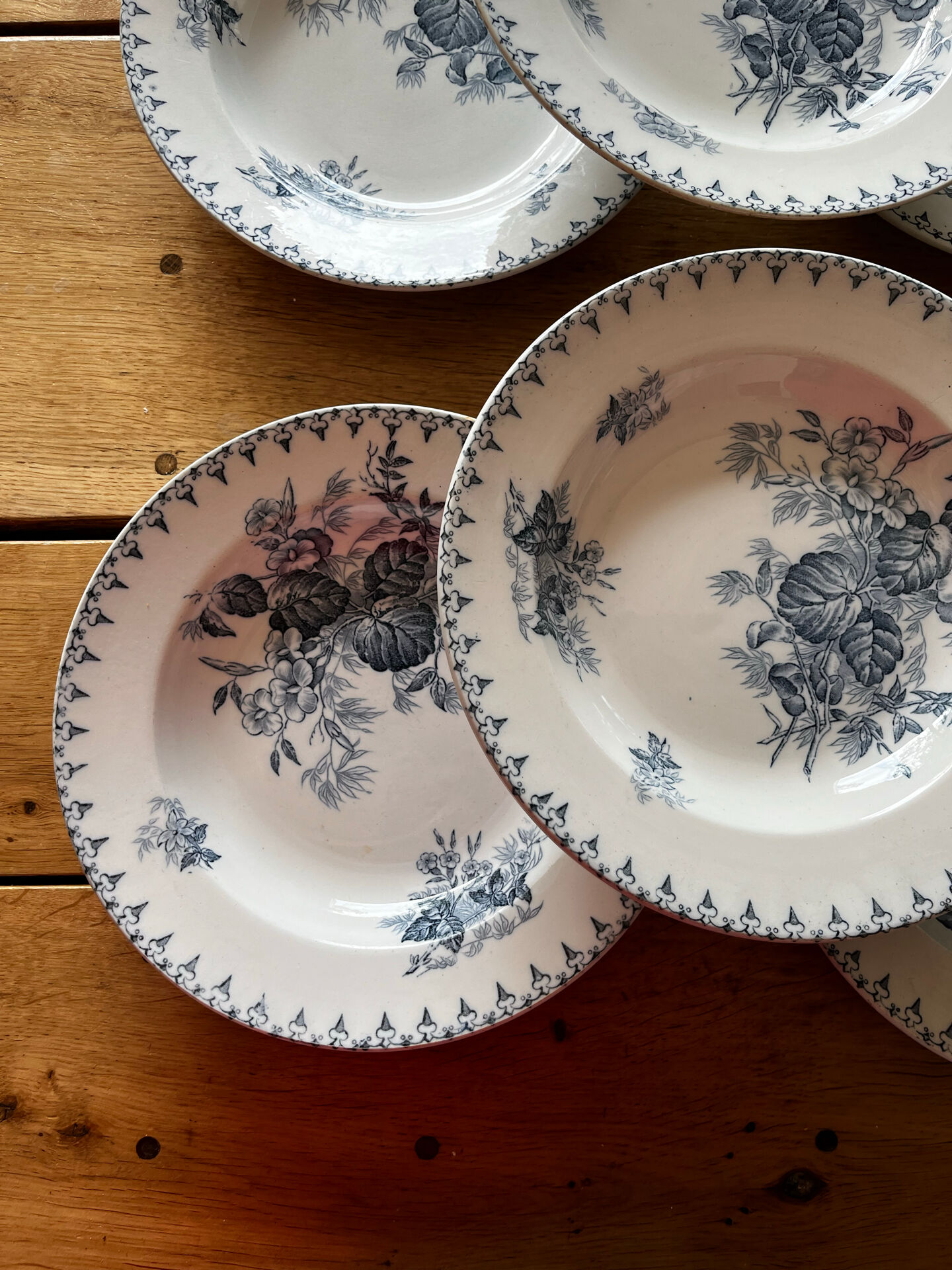 6 assiettes terre de fer 