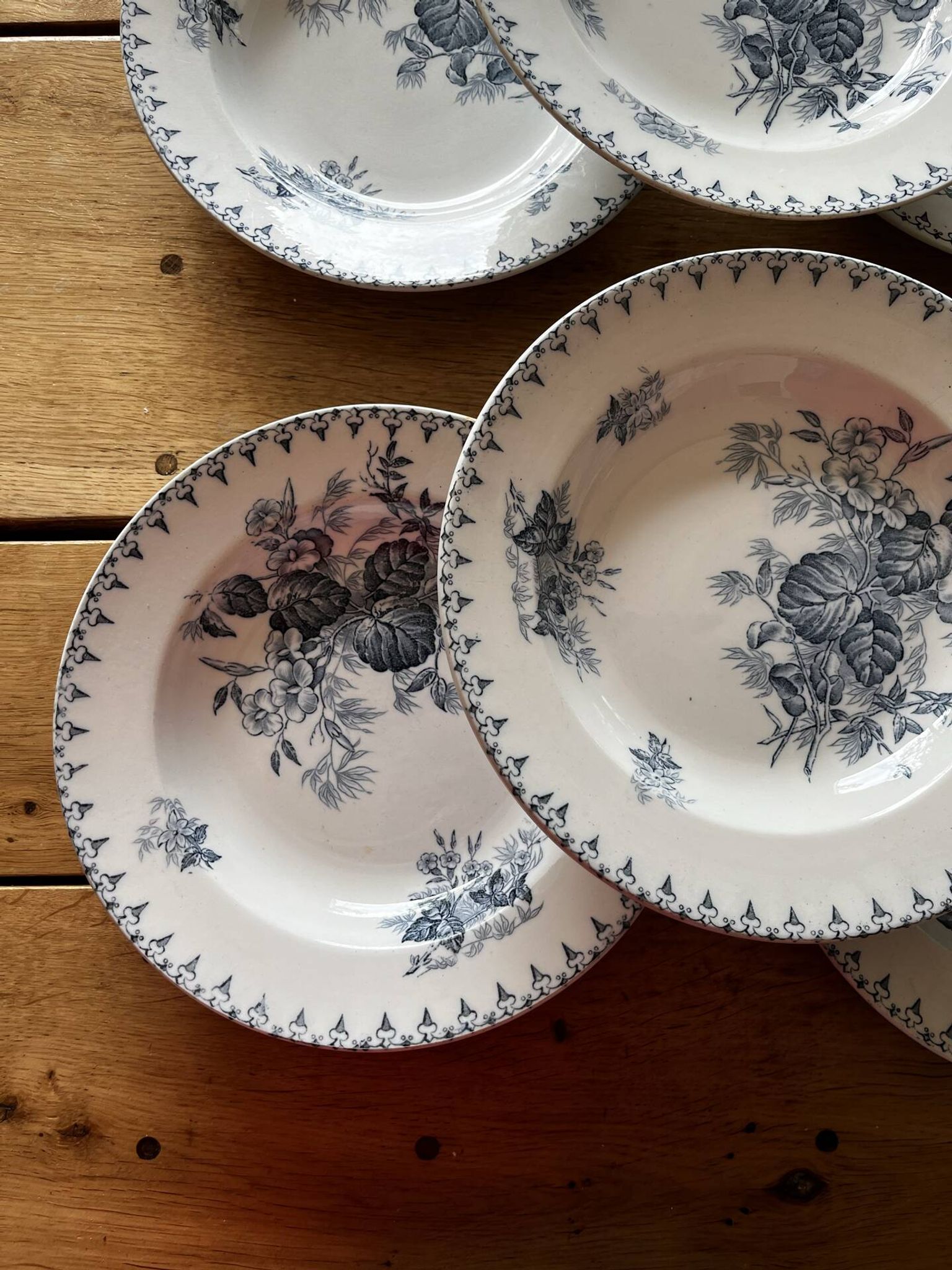 6 assiettes terre de fer 