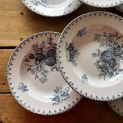 6 assiettes terre de fer 