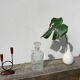 Glass whiskey decanter
