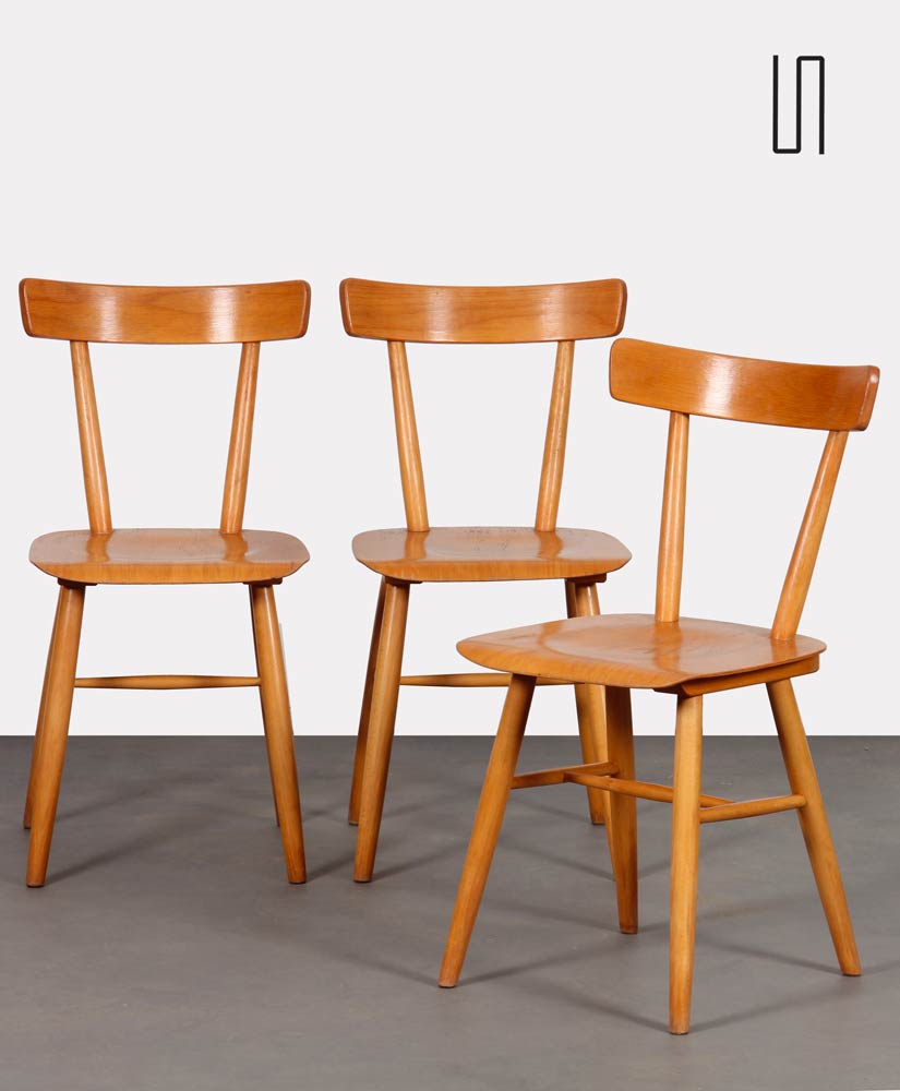 Ensemble de 3 chaises vintage édité par Ton, 1960