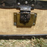 Old bulging trunk