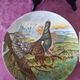 Assiette decorative murale,AK Kaiser, Germany