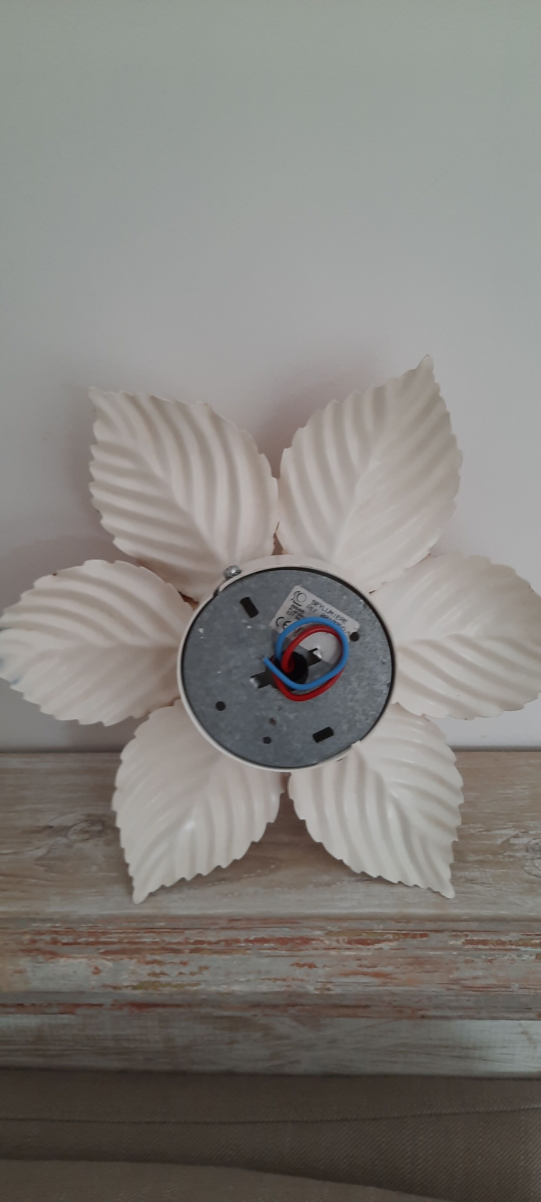 Wall lamp or ceiling lamp shape flower