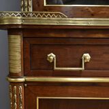 Mahogany Library Scriban, Louis XVI style – Mid-19th century