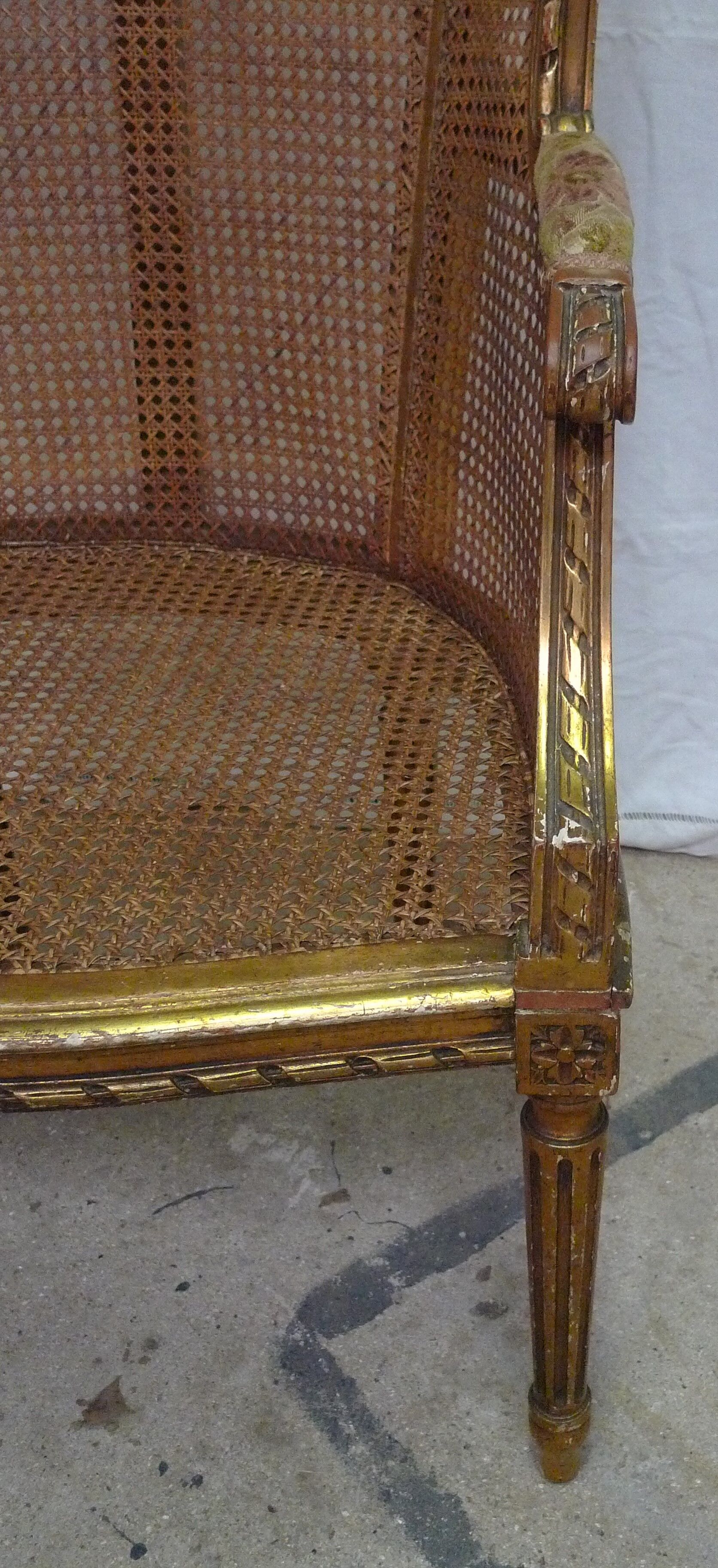 Bergere in ear canning