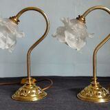 Pair of vintage gooseneck lamp