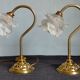 Paire de lampe col de cygne vintage