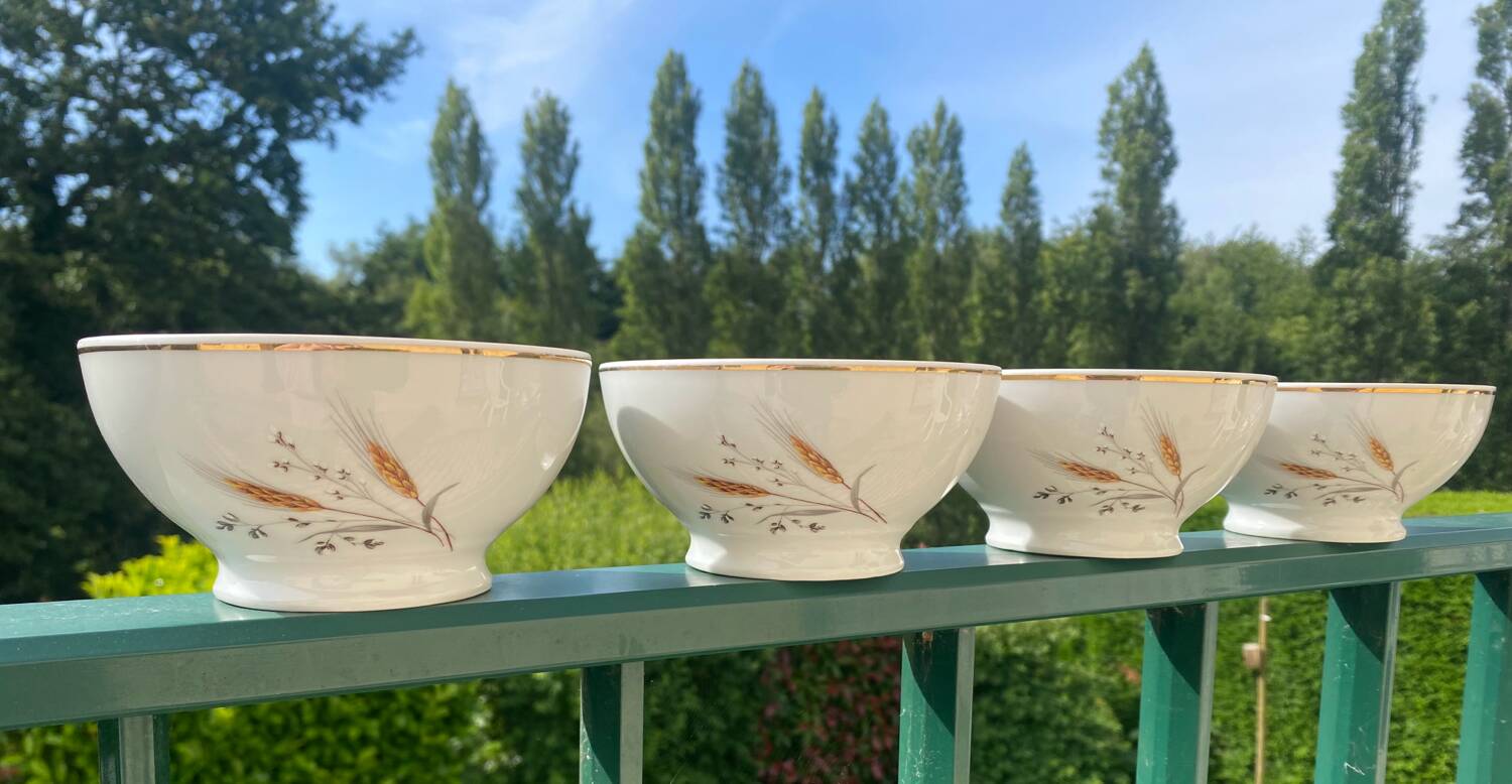4 vintage deshouliiere porcelain bowls