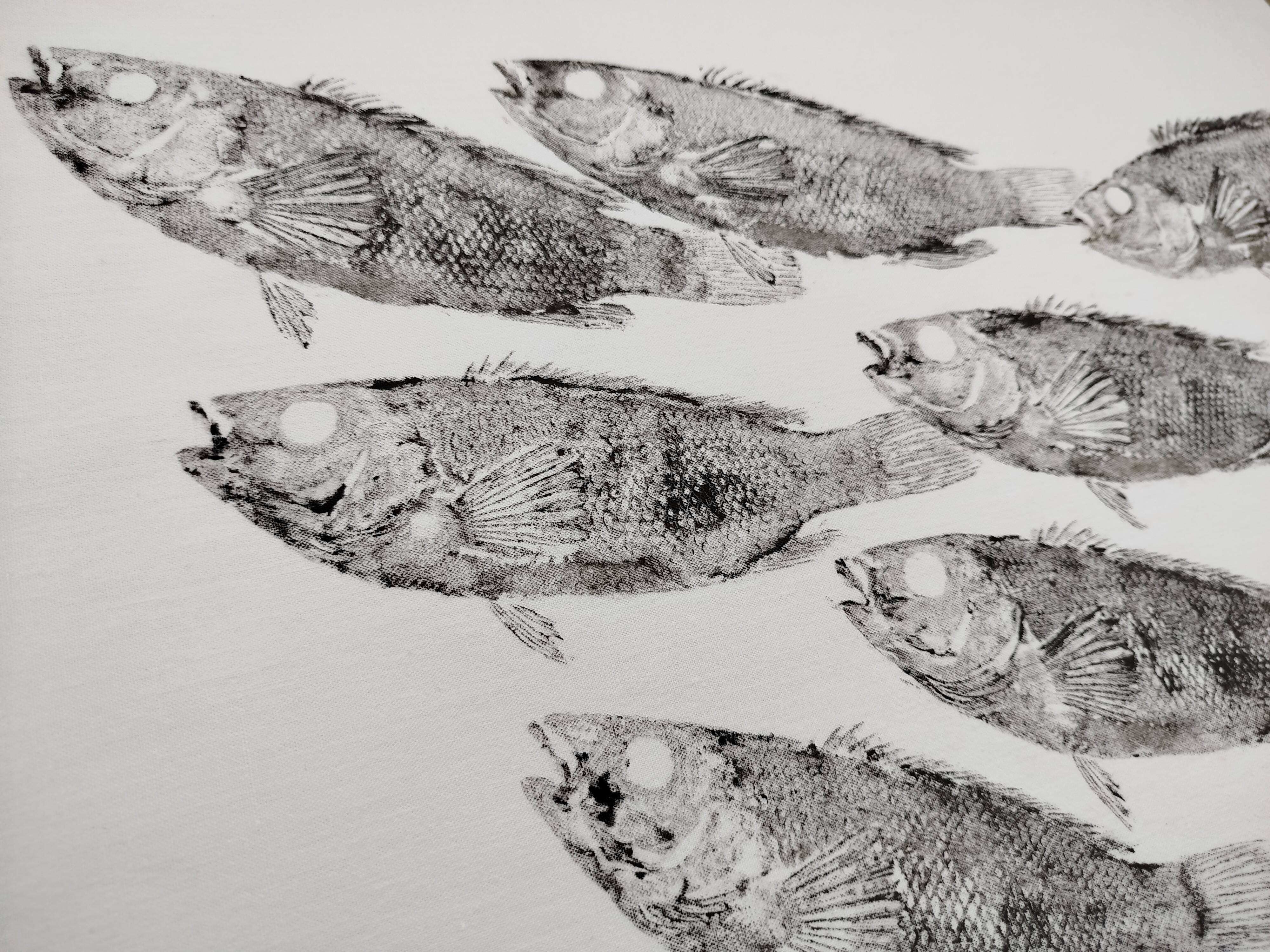 Original print of a school of fish