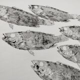 Original print of a school of fish