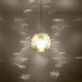 Capiz Shell Pendant Lamp