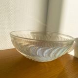 Opalescent glass bowl “Actinia” by René Lalique