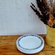 Set of 10 vintage Corelle American blue flat plates