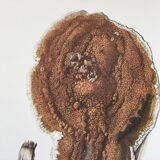 Polypore Mushroom Botanical Illustration. Vintage Print from the 60s.