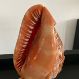 Vintage shell lamp from the 50s-60s