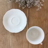 White porcelain tea cups