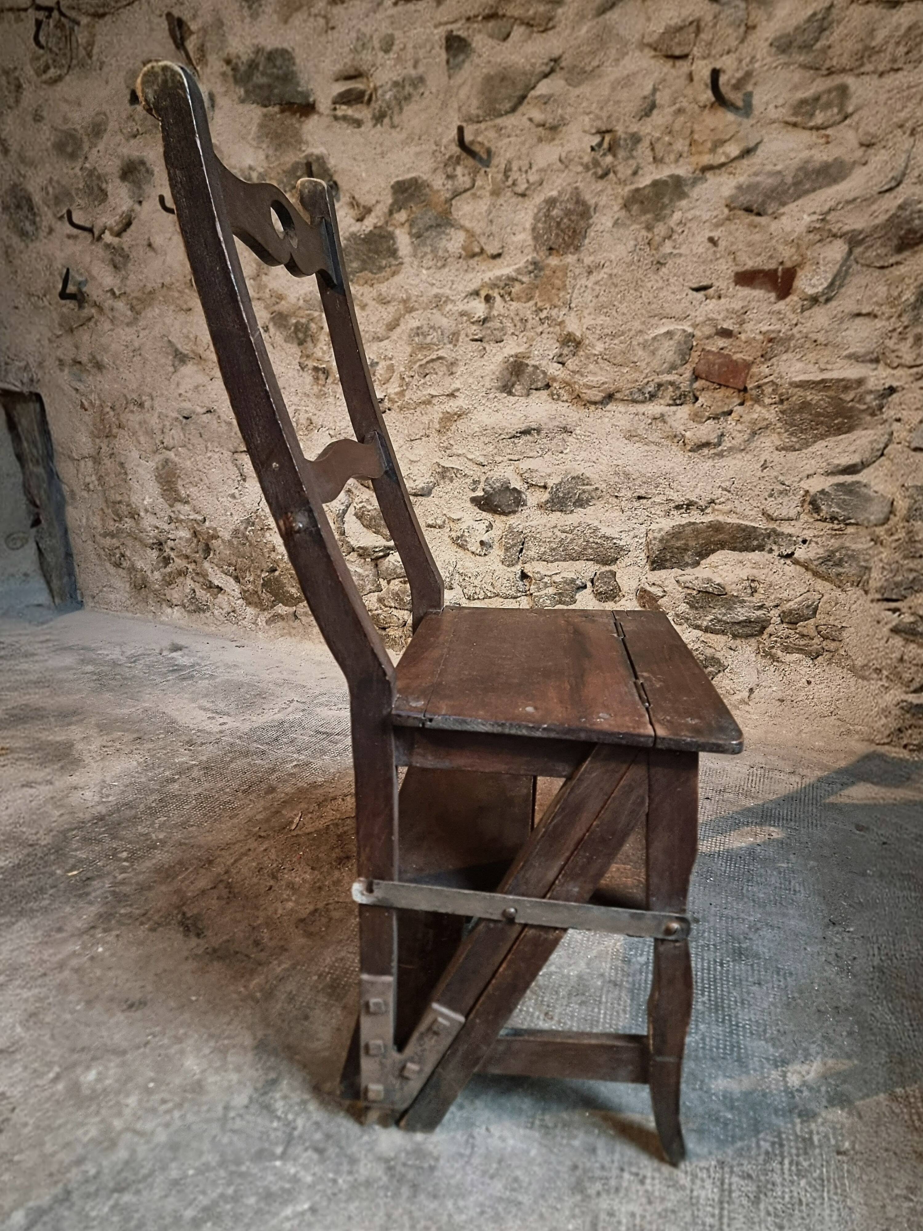 Chaise escabeau de bibliothèque ancienne – Chaise métamorphique en hêtre, France, début 1900