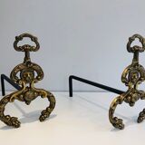 Chenets, cheminée, bronze, fer forgé, style néoclassique, lions