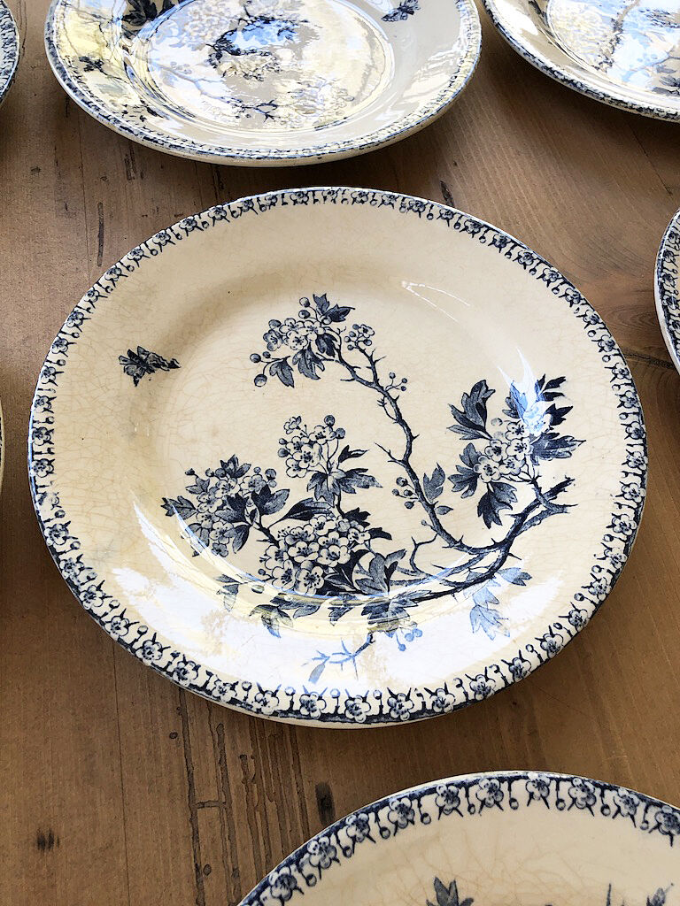 11 plates Terre de Fer Aubepine