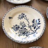 11 assiettes Terre de Fer Aubepine
