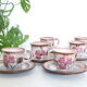 Set de 6 tasses et sous tasses Niderviller, vintage