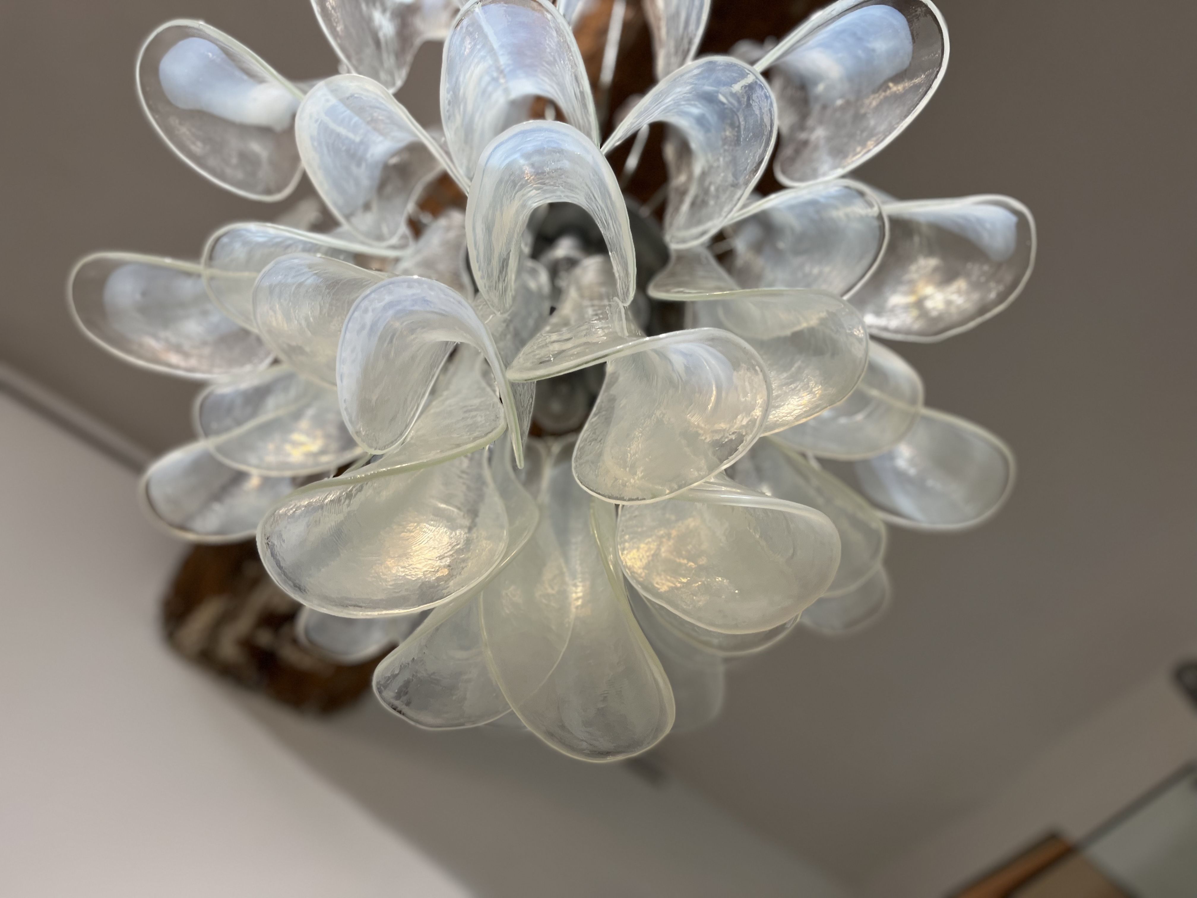 Pair of Murano chandeliers in petal by Paolo Venini