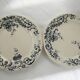Lot of 2 flat plates vermont iron earth and Blanchet