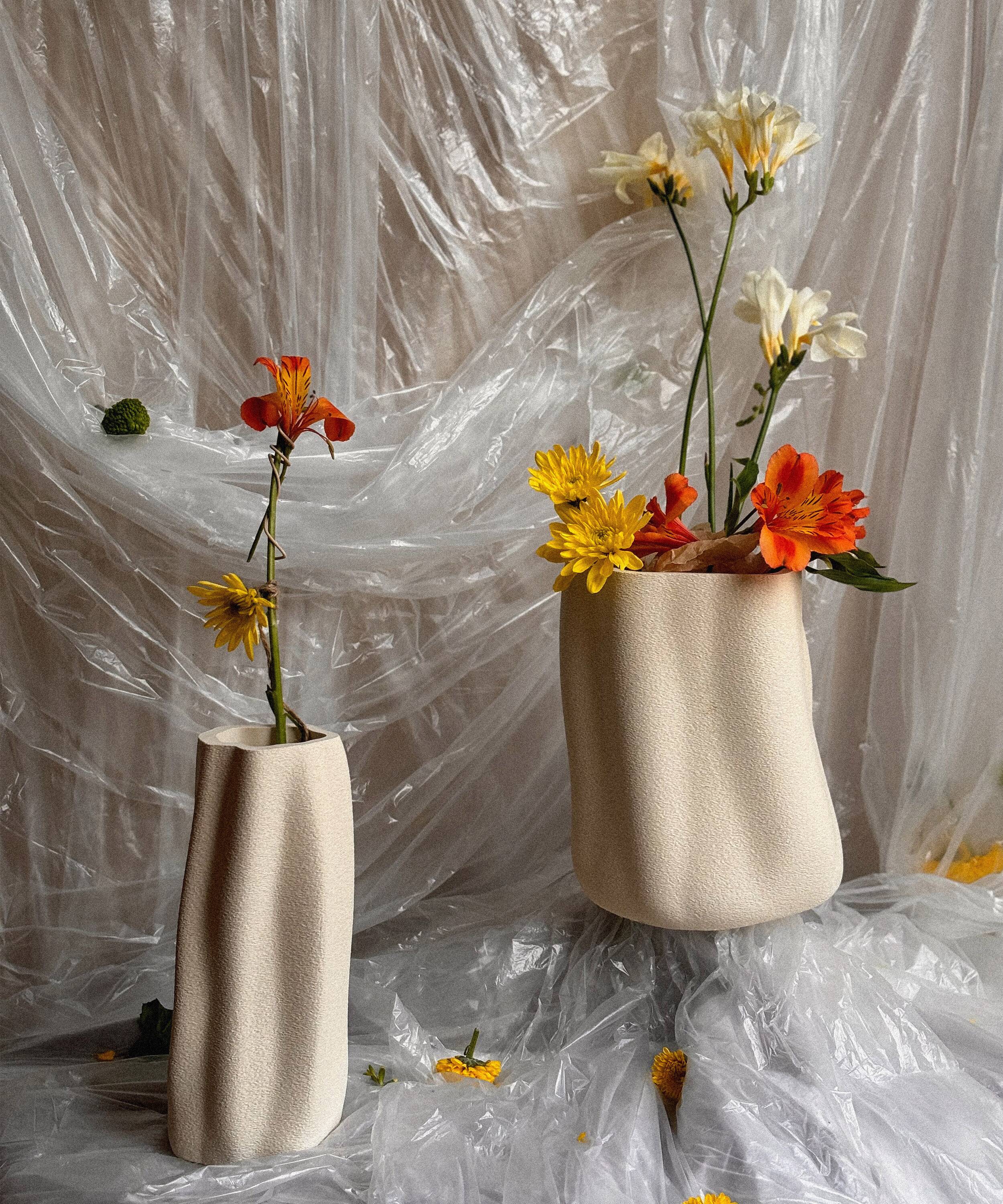 Grand vase biologique