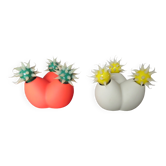Paire de lampes "virus" par Yuval Albudy 1970