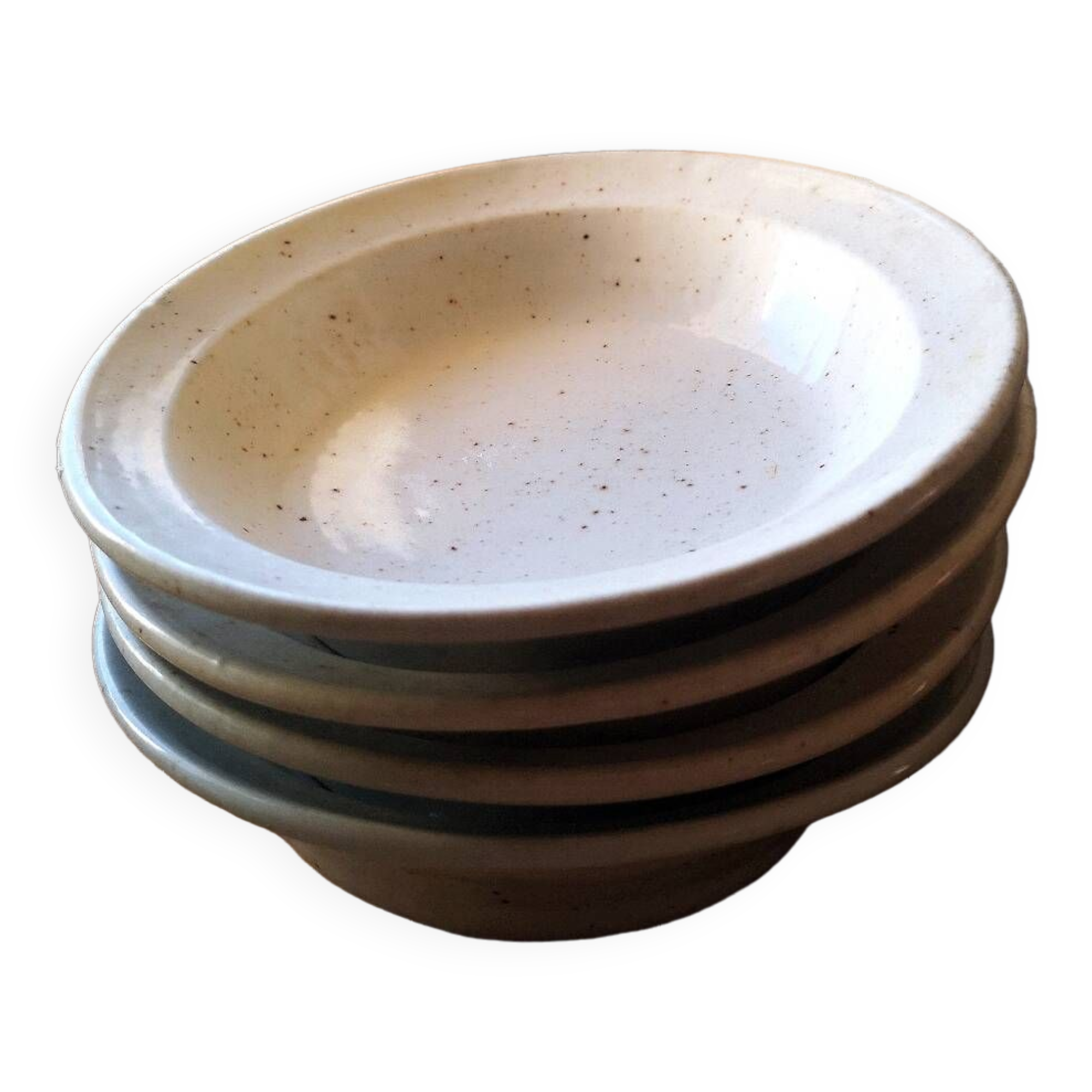 Lot de 4 Assiettes creuses en grès moucheté
