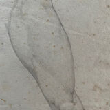 Étude ancienne • pied/jambe d'homme