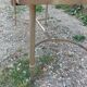 Antique vintage coffee table with marble top