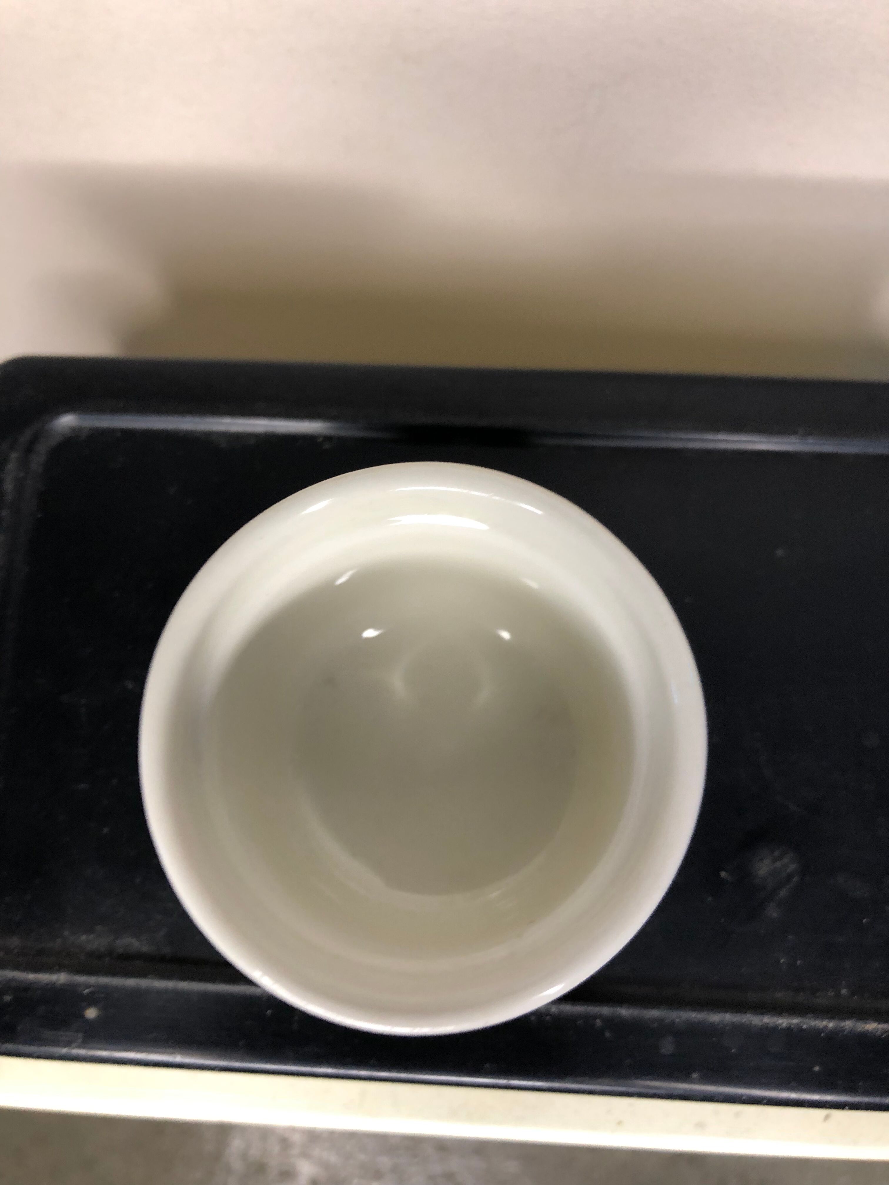 Lot of cockroaches Acapulco Villeroy and Boch