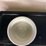 Lot of cockroaches Acapulco Villeroy and Boch