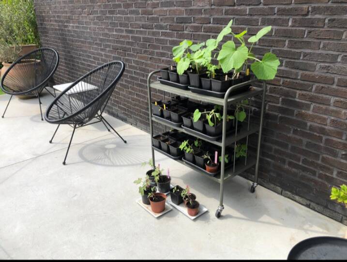 Metal trolley – bar cart – side table – plant shelf (30 in stock)
