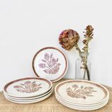 9 dessert plates herbarium thistles