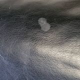 Pierluigi Cerri sofa model Pause signed Poltrona Frau in Black leather Design