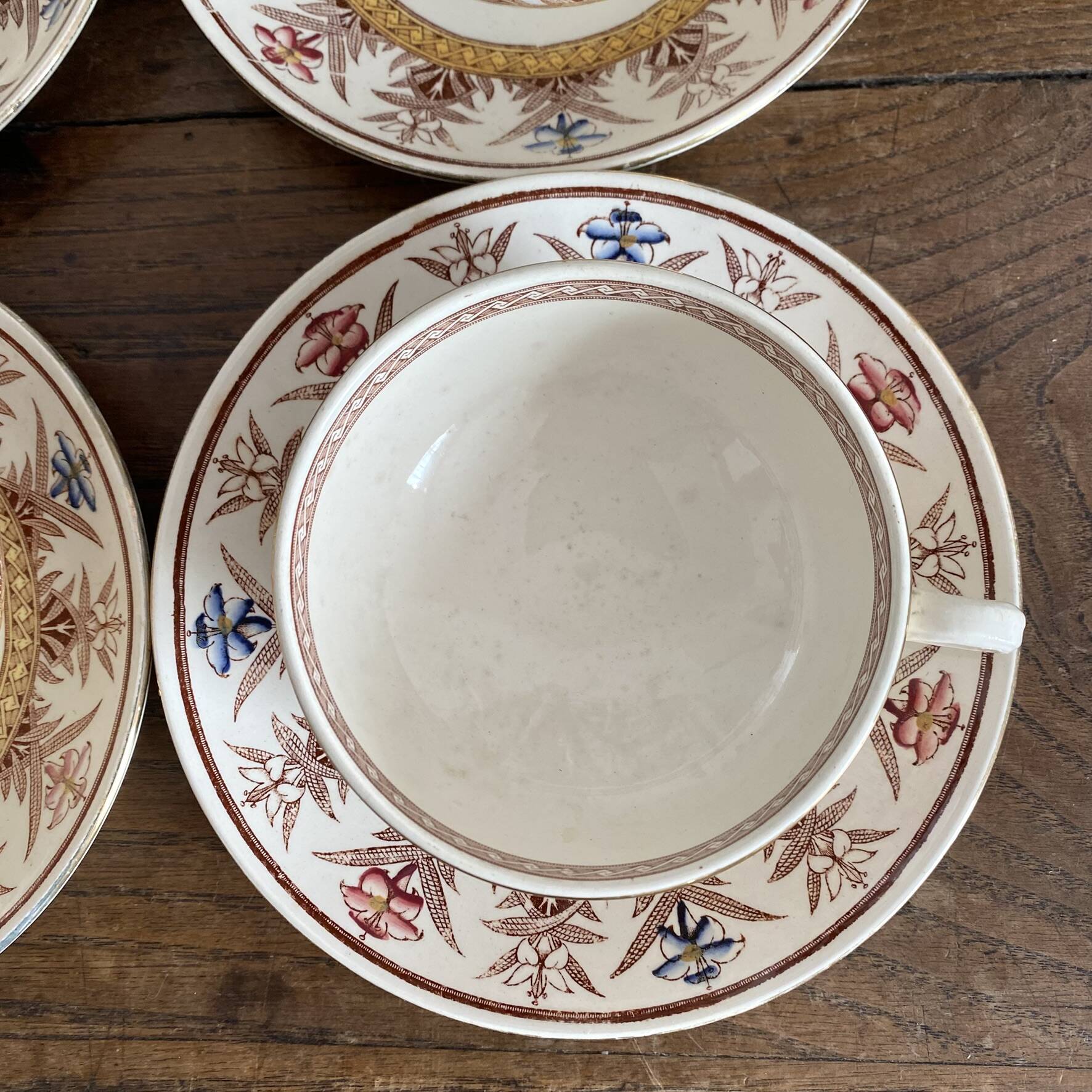 Tea cups and saucers in Sarreguemines ironstone "Derby"