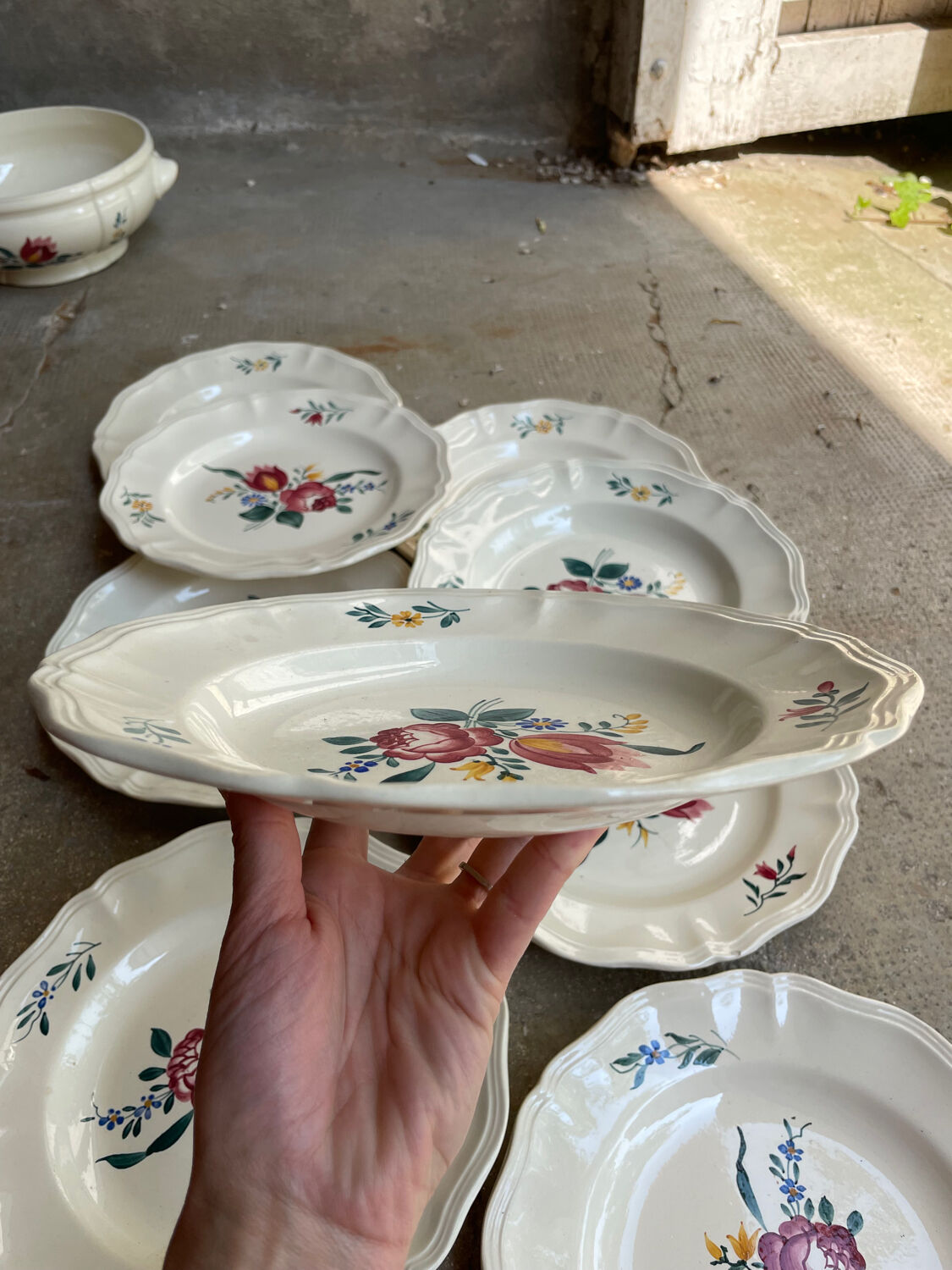 9 plates Sarreguemines