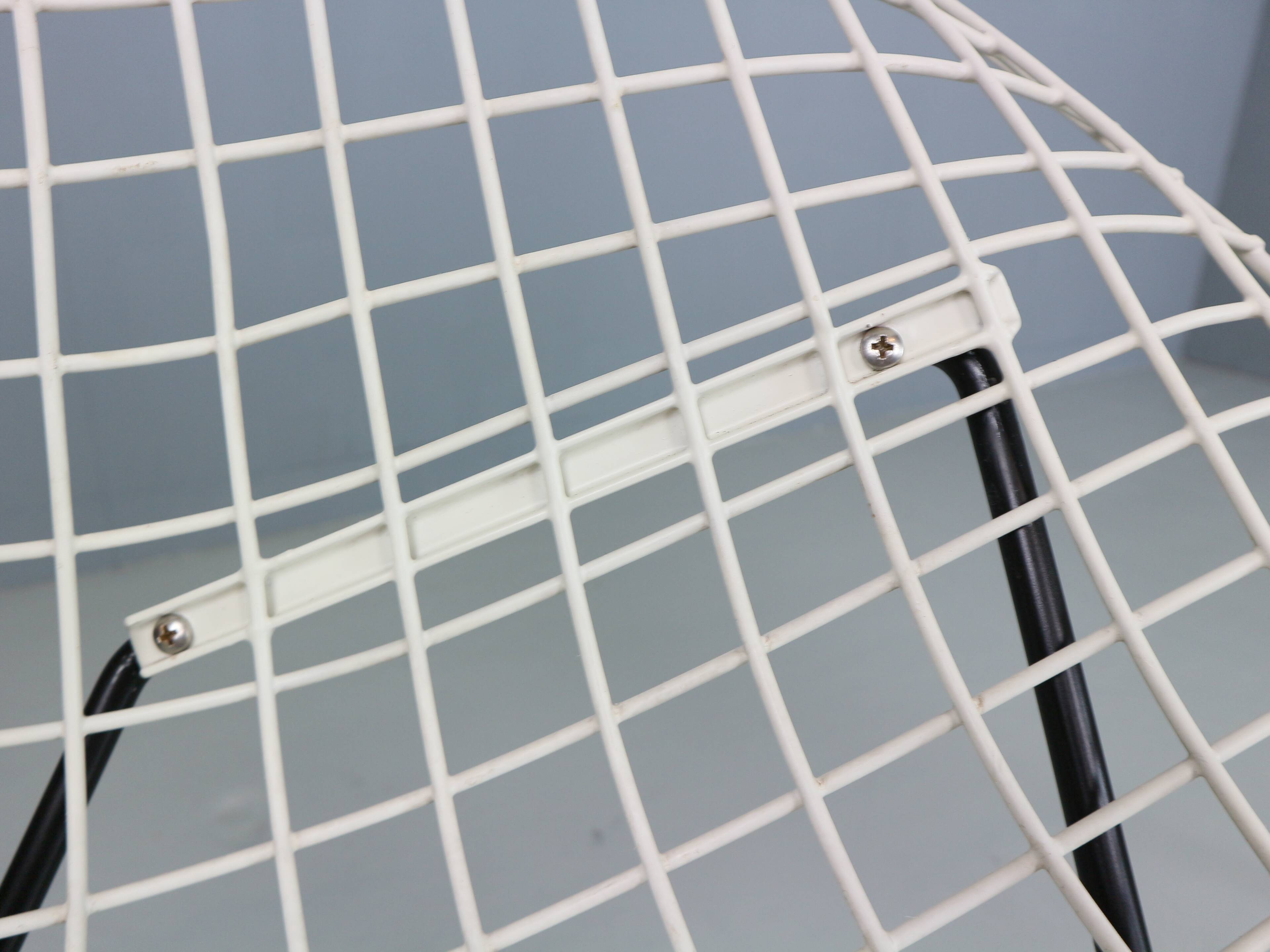 Set of two Diamond chair by Harry Bertoia in white & black metal. 1960s