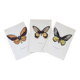 Planches de papillons (lot de 3)