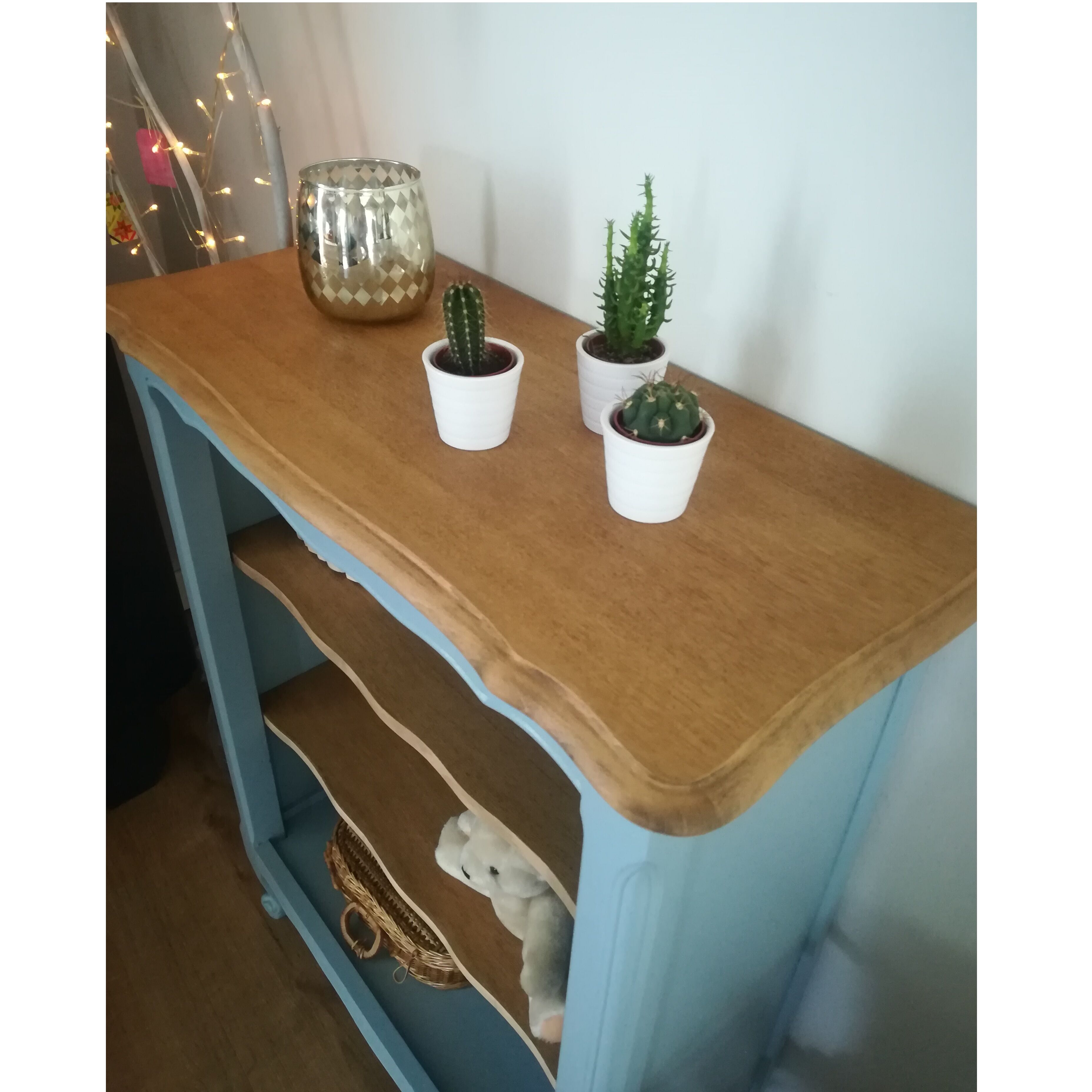 Bibus, vintage blue grey library